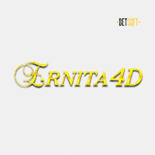 Logo ernita4d
